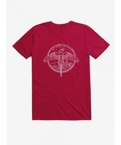 Harry Potter The Order of The Phoenix T-Shirt $8.03 T-Shirts