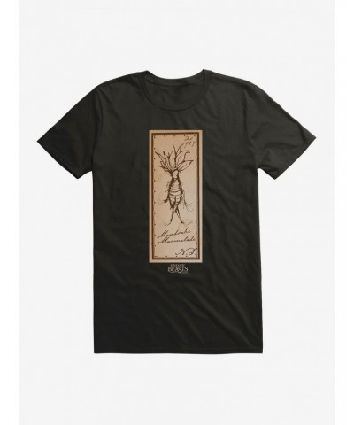 Fantastic Beasts Herbology Mandrake Marmalade T-Shirt $9.37 T-Shirts
