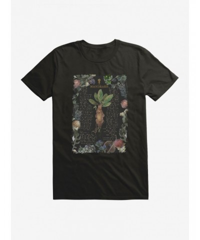 Harry Potter Mandrake Fantasy Style T-Shirt $8.60 T-Shirts