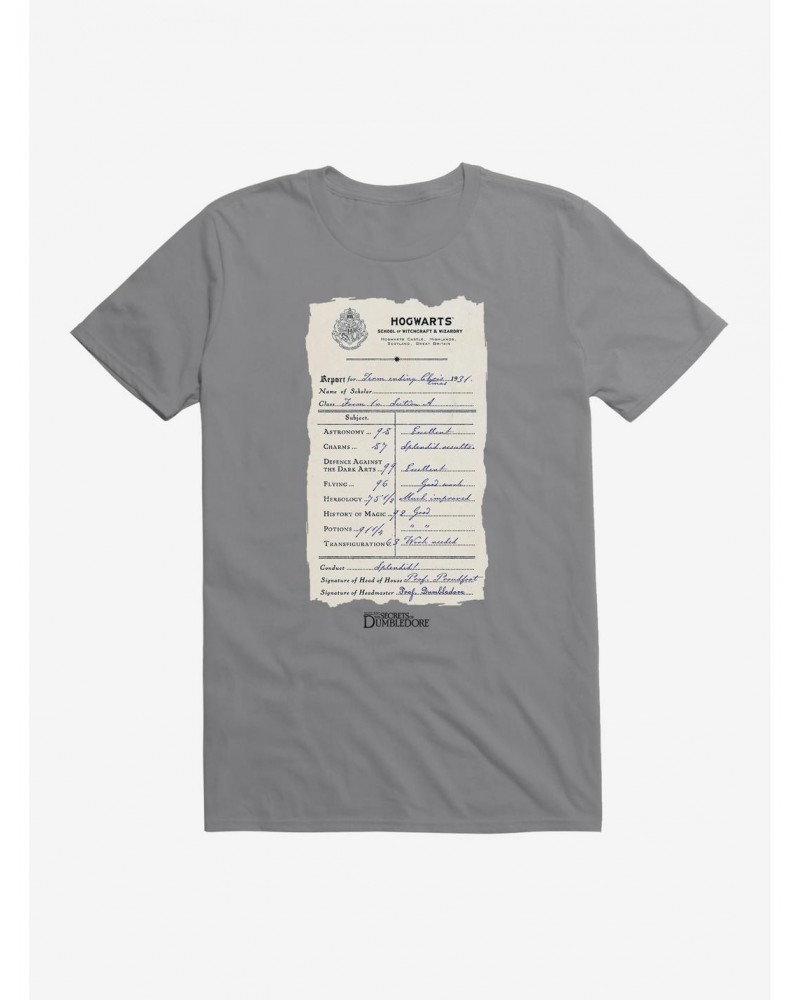 Fantastic Beasts: The Secrets Of Dumbledore Hogwarts Class Schedule T-Shirt $8.80 T-Shirts